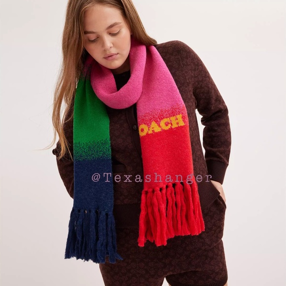 NWT Coach Ombre Print Muffler Scarf - Picture 1 of 10
